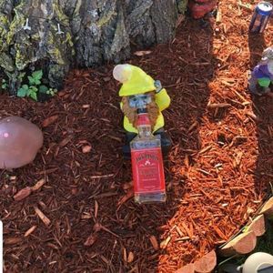 Meet your Posher, Wade